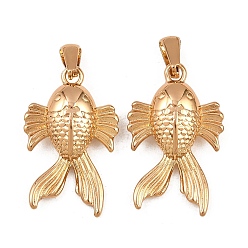 Золотой 304 подвески из нержавеющей стали, очарование рыбы, золотые, 28x18x7 мм, отверстие : 7x2.5 мм