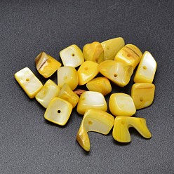 Золотистый Окрашенные натуральные пресноводные ракушки, самородки, чипсы, бусины, золотые, 10~20x5~15 мм, отверстие : 1 мм, Около 330 шт / 500 г