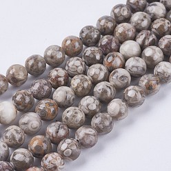 Maifanite Natural Maifanite/Maifan Stone Beads Strands, Round, 8mm, Hole: 1mm, about 46pcs/strand, 15.3 inch(39cm)